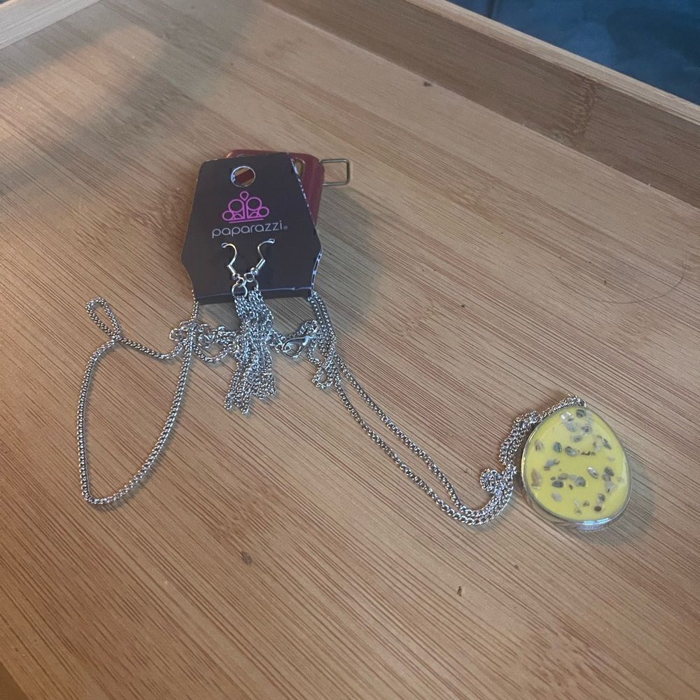 Paparazzi silver necklace and earring set NWT